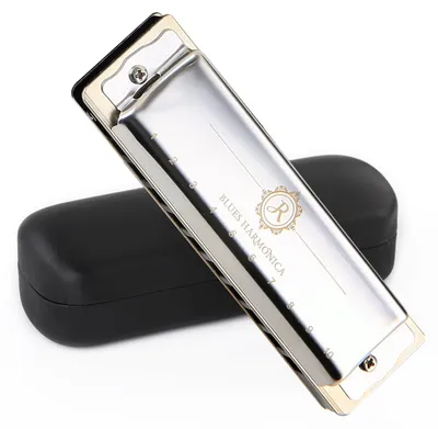 Image de Harmonica diatonique 10 trous, 20 notes, en tonalité de La, avec étui de protection en EVA, pour adultes et débutants