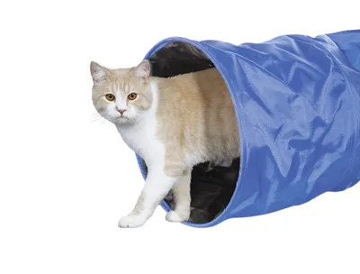 Immagine prodotto di Tunnel per gatti Nobby blu, 115 x 30 cm