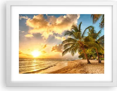 Produktbild von Gerahmtes Poster - Weißer Rahmen - Strand Meer Palme - 40x30 cm - Wand Bild - Wanddeko - Wandbilder - Kunstposter - Wandposter - Bilderrahmen - Bilder - Kunstdruck - Wandbild - P2WAA40x30-3606