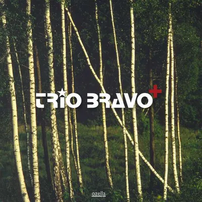Image de Trio Bravo+