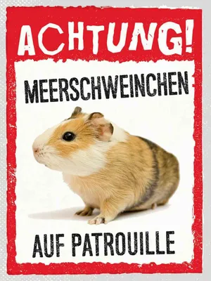 Produktbild von vianmo Holzschild 40x30 cm Achtung Meerschweinchen Patrouille