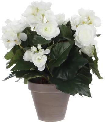 Zdjęcie produktu dla Mica Decorations Begonia sztuczna roślina w doniczce Stan - H30 x Ø25 cm - Biały