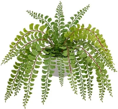 Image de Plante suspendue décorative Kunstvaren 42 cm pour la maison