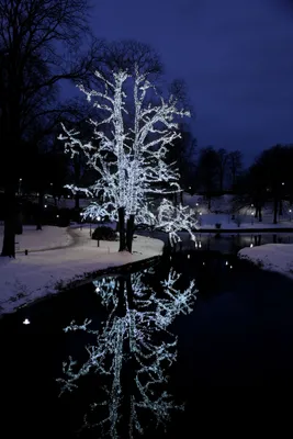 Produktbild von System LED 'LED-Lichterkette 5m' 50 LEDs kaltweiß, IP44