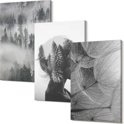 Produktbild von Leinwandbild – Wandbild – Leinwandbilder – Kunstdruck – Polycanvas – Modern – Mehrteilig – 3-Teilig Set – Hochwertig – Geruchslos – Lichtecht – Fertig Aufgespannt – 40x60 Cm Je Teil - Wald im Nebel Porträt mit Bäumen zarten Löwenzahn