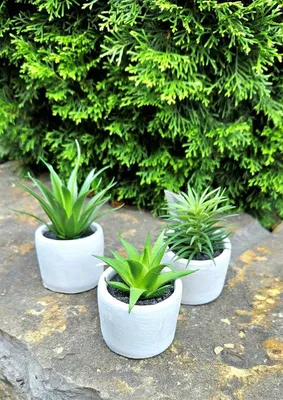Produktbild von artplants.de Kunst Sukkulenten Finnick im Betontopf, 3 Stück, grün, 15cm - Kunstgesteck