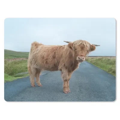 Produktbild von MuchoWow® Mauspad Mousepad Scottish Highlander - Straße - Gras 23x19 cm - Mousepads - Maus Mat - Pad - Mausunterlage - Schreibtischunterlage - Mauspad
