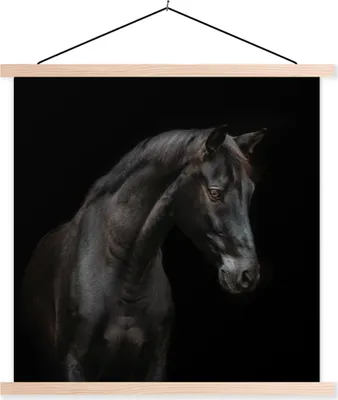 Produktbild von MuchoWow® Textilposter Pferd - Tiere - Schwarz - Porträt 60x60 cm mit holzfarbenen Rahmen - Wanddekoration