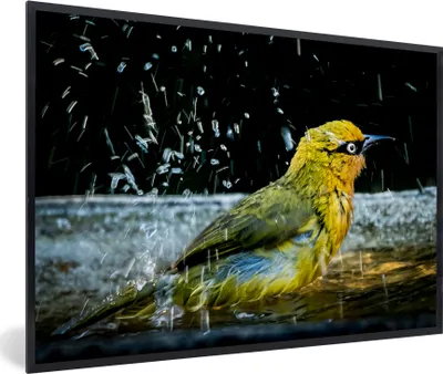 Produktbild von MuchoWow® MuchoWow® Gerahmtes Poster Vogel - Vogeltränke - Wasser 90x60 cm - Poster mit zchwarzem Bilderrahmen - Fotorahmen - Foto-Plakat