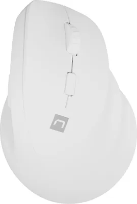 Produktbild von NATEC Crake 2 Universalmaus für Rechtshänder, kabellos (RF) + Bluetooth, optisch, 2400 DPI