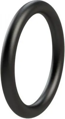 Zdjęcie produktu dla Uszczelka typu O-ring 100450P001