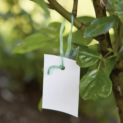 Produktbild von Windhager Drehbinder 15 cm, 100 Stück