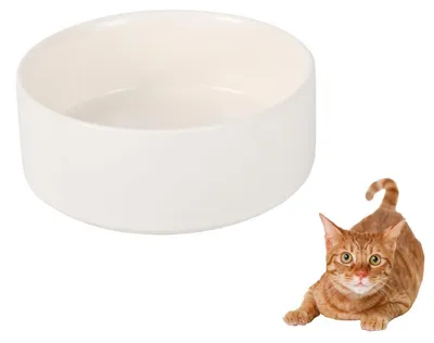 Immagine prodotto di Ciotola in Vetroceramica da 320 ml, bianca, per gatti e cuccioli