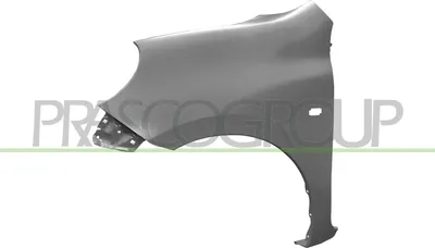 Produktbild von PRASCO DS0143014 Kotflügel Vorne Links für NISSAN MICRA IV (K13)