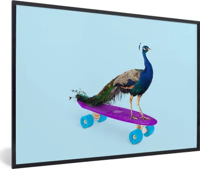 Produktbild von MuchoWow® Gerahmtes Poster Pfau - Blau - Skateboard - Tiere - Lustig 90x60 cm - Poster mit Schwarzem Bilderrahmen Wandposter Rahmen Foto Bilder - Fotorahmen - Foto-Plakat