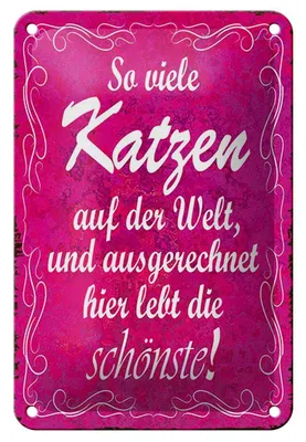 Produktbild von Blechschild Spruch 12x18cm so viele Katzen auf der Welt