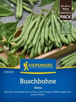 Produktbild von Kiepenkerl Saatgut Buschbohnen Saxa Vorteilspackung für ca. 8 – 12,5 m²