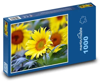 Produktbild von Puzzle 1000 Blühende Sonnenblume - martinpuzzle