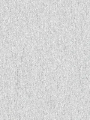 Obrázok produktu pre A.S. Creation | Attractive 2 | 390263 | netkaná tapeta | štruktúrovaná tapeta | 10,05 x 0,53 m | svetlosivá | obývacia izba | chodba | kancelária | kuchyňa | obývacie izby