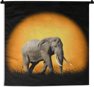 Produktbild von MuchoWow® Wandteppich Wandbehang Elefant - Sonne - Zähne 150x150 cm Tapisserie Dekoration Wandtuch - Wohnaccessoires - Modernes