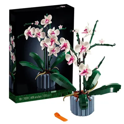 Image de 10311 Ensemble de plantes artificielles Orchidée, kit de construction pour adultes