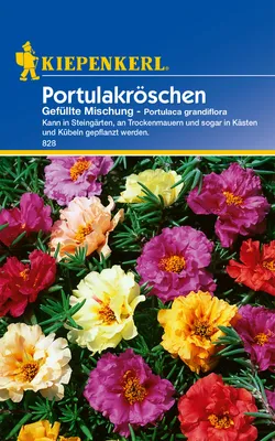 Produktbild von Portulakröschen Gefüllte Mischung, auch für Kästen und Kübel, blühen den ganzen Sommer über