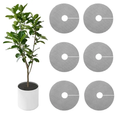 Productafbeelding van Plantpot Bodembedekker - 6 Stuks - Snijbaar