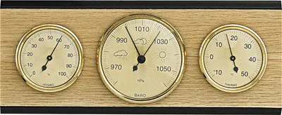 Produktbild von SELVA Wetterstation mit Hygrometer, Barometer und Thermometer, 110 x 270 mm