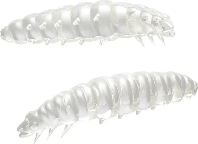 Produktbild von Libra Lures Larva Kunstköder (silver pearl)