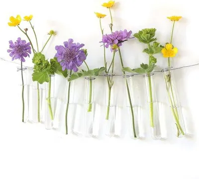 Image de Pots à fleurs en verre à suspendre au mur - Décoration murale - Décoration de mariage - Lot de 12