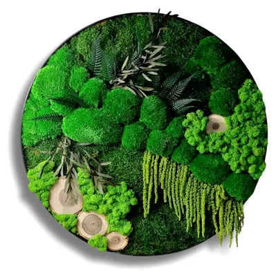 Produktbild von Moosbilder mit Rahmen 40 cm - Konserviertes Islandmoos - Dekoration für Ihr Zuhause - Große Mooswand Deko für das Wohnzimmer