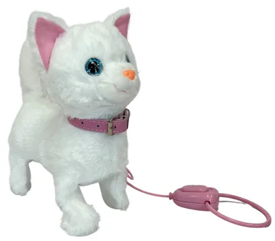 Imagen del producto de El gato Bela con correa