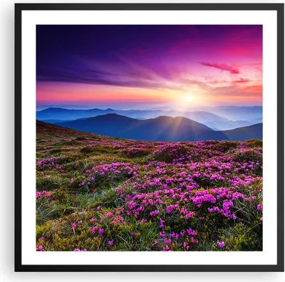 Produktbild von Gerahmtes Poster - Schwarzer Rahmen - Wiese Berg Himmel Landschaft - 60x60 cm - Wand Bild - Wanddeko - Wandbilder - Wandposter - Bilderrahmen - Bilder - Kunstdruck - Wandbild - P2BAC60x60-2719