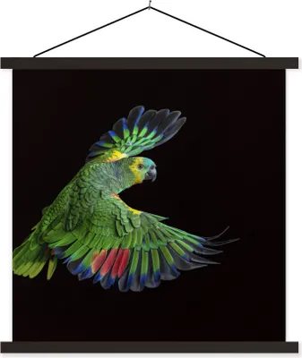 Produktbild von MuchoWow® Textilposter Nahaufnahme bunter Papagei 120x120 cm mit schwarzem Rahmen - Aufhängungsset