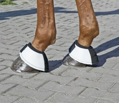 Produktbild von Busse Hufglocken CROSS, L, weiß