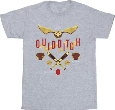 Produktbild von Harry Potter - "Quidditch Golden Snitch" T-Shirt für Jungen BI21320 (104) (Grau)