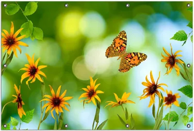 Produktbild von Wallario Outdoor-Poster für Garten oder Balkon, Motiv Blumen mit Schmetterling, in ca. 100 x 150 cm