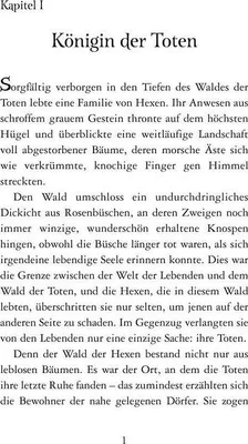 Produktbild von Disney. Villains 5: Das verzauberte Haar