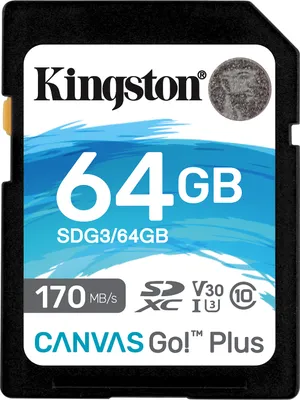 Produktbild von Kingston SDG3/64GB