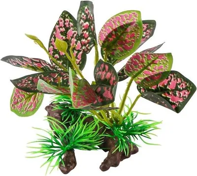 Produktbild von Kunststoffpflanzen Dekoration für Terrarium Aquarium 2er Set