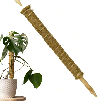 Produktbild von Erweiterbare Pflanzenstütze mit Kokosfilz – Nachhaltige Rankhilfe 60 cm, Menge:1