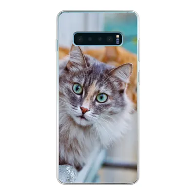 Produktbild von MuchoWow® Handyhülle Schutzhülle Hülle für Samsung Galaxy S10 Plus Katze - Fenster - Katzen Silikon Softcase Handy Hülle - Schutzhülle