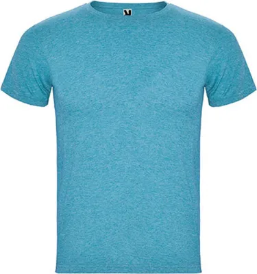 Produktbild von Roly CA6660 | Herren Fox T-Shirt, Single-Jersey - Farbe: Heather Turquoise 246 - Größe: XL