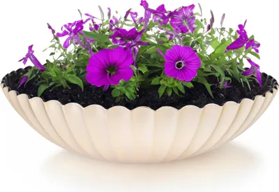Image de Jardinière ronde ondulée pour l'extérieur champagne or 35 cm