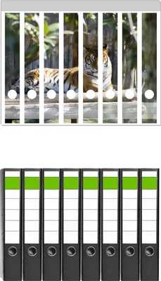 Produktbild von Wallario 8 Stück schmale Ordner inkl. Klebeetiketten mit Motive Tiger im Sonnenschein -  Set mit Rückenschildern / Ordnerrücken Stickern