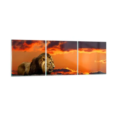 Produktbild von Bilder auf glas - Löwe Sonne Landschaft - 150x50cm - Glasbilder - Wandbilder - Kunstdruck - zum Aufhängen bereit - Wanddekoration aus Glas - Glas Bilder - Wandbild auf Glas - 3 Teile - GCA150x50-0230