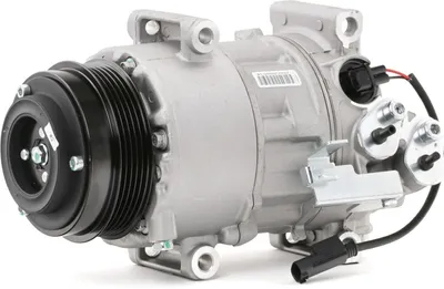 Produktbild von RIDEX 447K0092 6SEU16C Klimaanlage Klimakompressor PAG 46 passend für MERCEDES-BENZ A-Klasse (W169) B-Klasse (W245)
