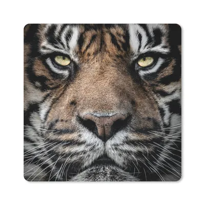 Produktbild von MuchoWow® Mauspad Mousepad Porträt-Tiger auf schwarzem Hintergrund 20x20 cm - Mousepads - Maus Mat - Pad - Mausunterlage - Desk Mat - Bureauartikeln