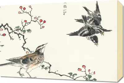 Image de Image 60 x 40 cm Dosky Thrush, Kashu japonais vintage pour le salon