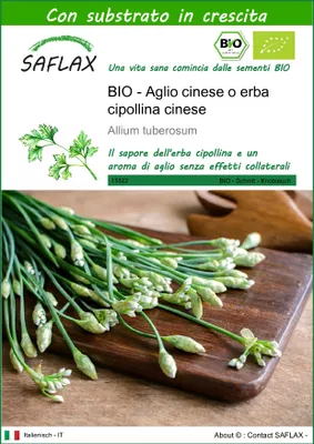 Immagine prodotto di SAFLAX  -- Aglio cinese o erba cipollina cinese - 100 semi - Con substrato - Allium
